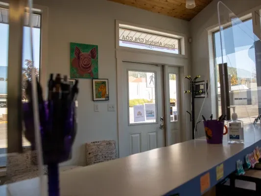 Community and local business in Creston